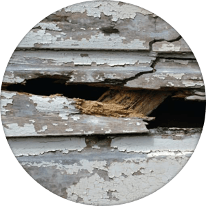 Decaying Weatherboards